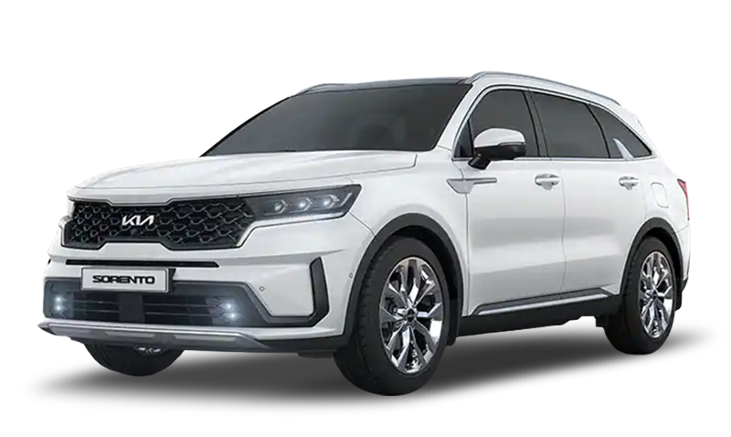 스노우 화이트 펄  익스테리어